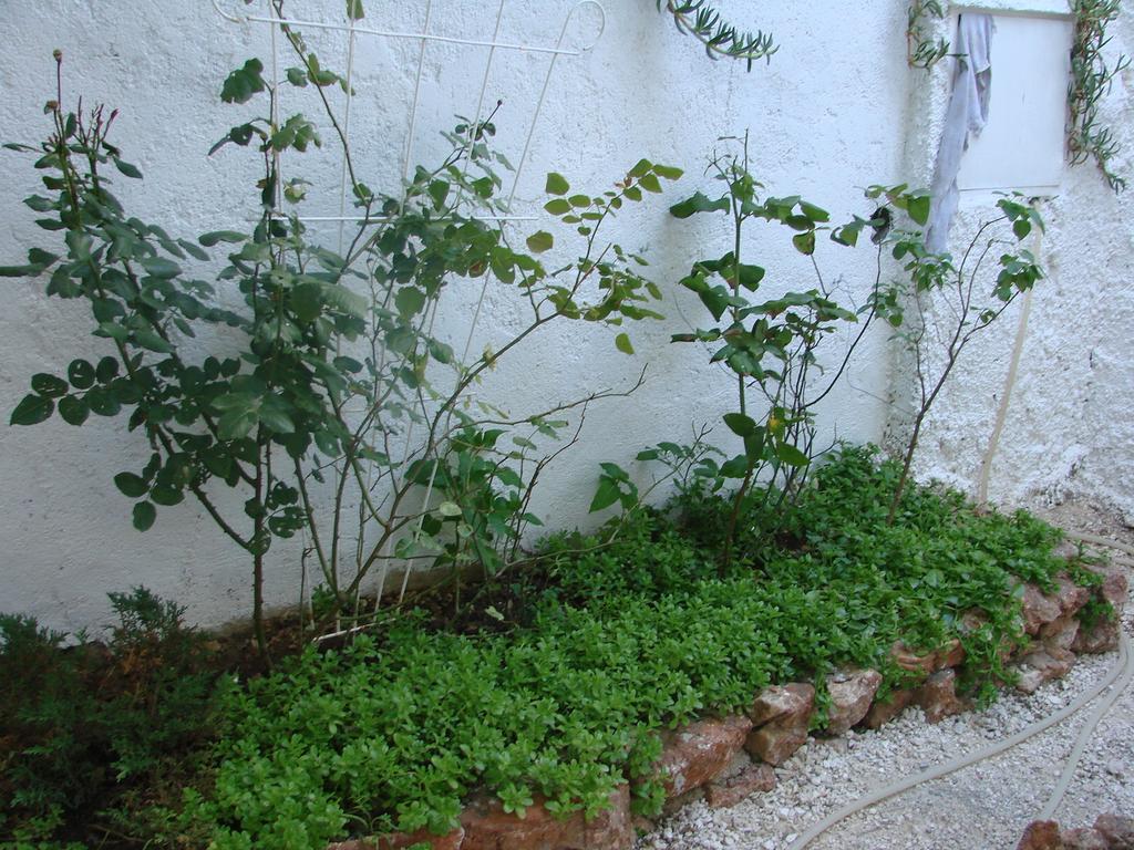 Apartman Restovic بول المظهر الخارجي الصورة