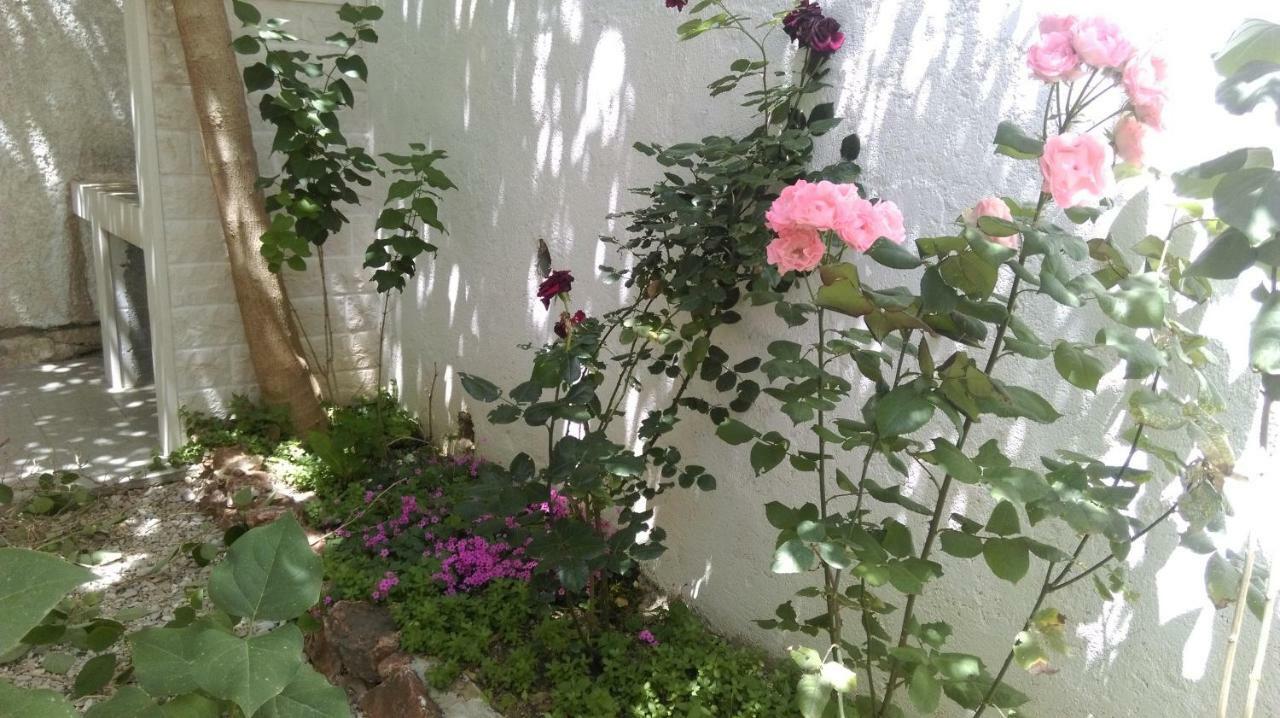 Apartman Restovic بول المظهر الخارجي الصورة